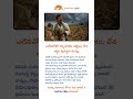 ఎల్నినోతో అన్నదాతకు కష్టాలు, దేశ ఆర్థిక వ్యవస్థకు ముప్పు #viralvideo #agriculture #farming