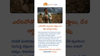 ఎల్నినోతో అన్నదాతకు కష్టాలు, దేశ ఆర్థిక వ్యవస్థకు ముప్పు #viralvideo #agriculture #farming