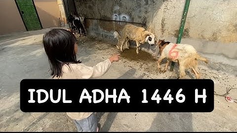 Lebaran Haji 2025 | Idul Qurban | Idul Adha 1446H