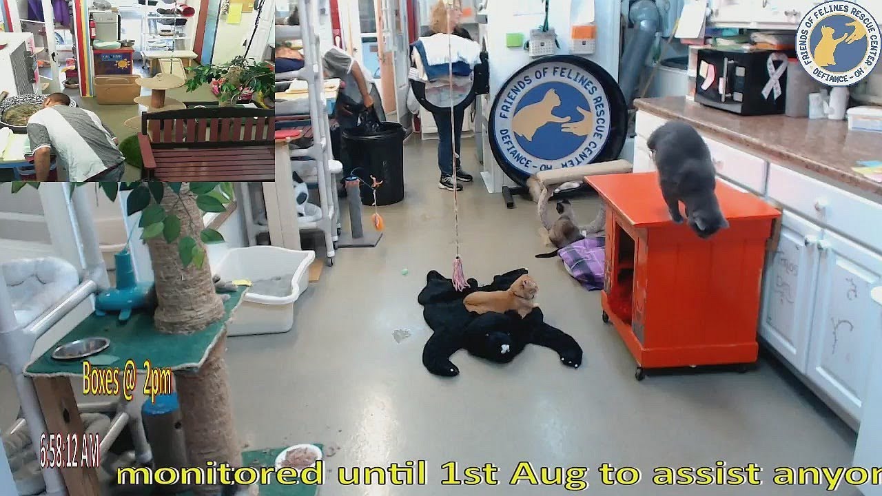 jumping a car Stan's 20180719 Magic high dive