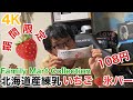 #4K【 #激うま #期間限定 】#北海道産練乳のいちご氷バー 食べてみた!!!