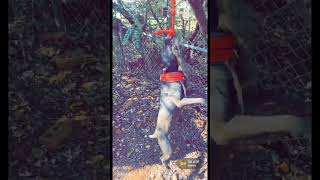 Woo Wit The Hangtime