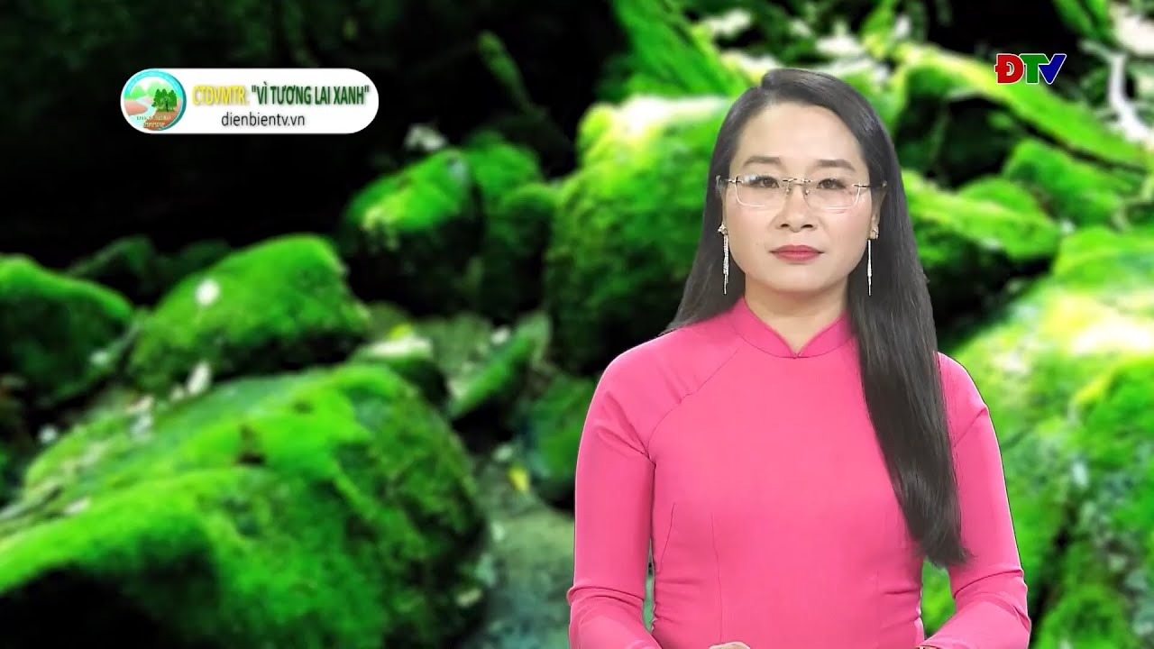 Chuyên mục chi trả DVMTR - Vì tương lai xanh tháng 11/2025