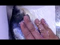 Blue bass serrasalmus rhombeus piranha  25cm rare fish aquarium piranhas fishing fish 