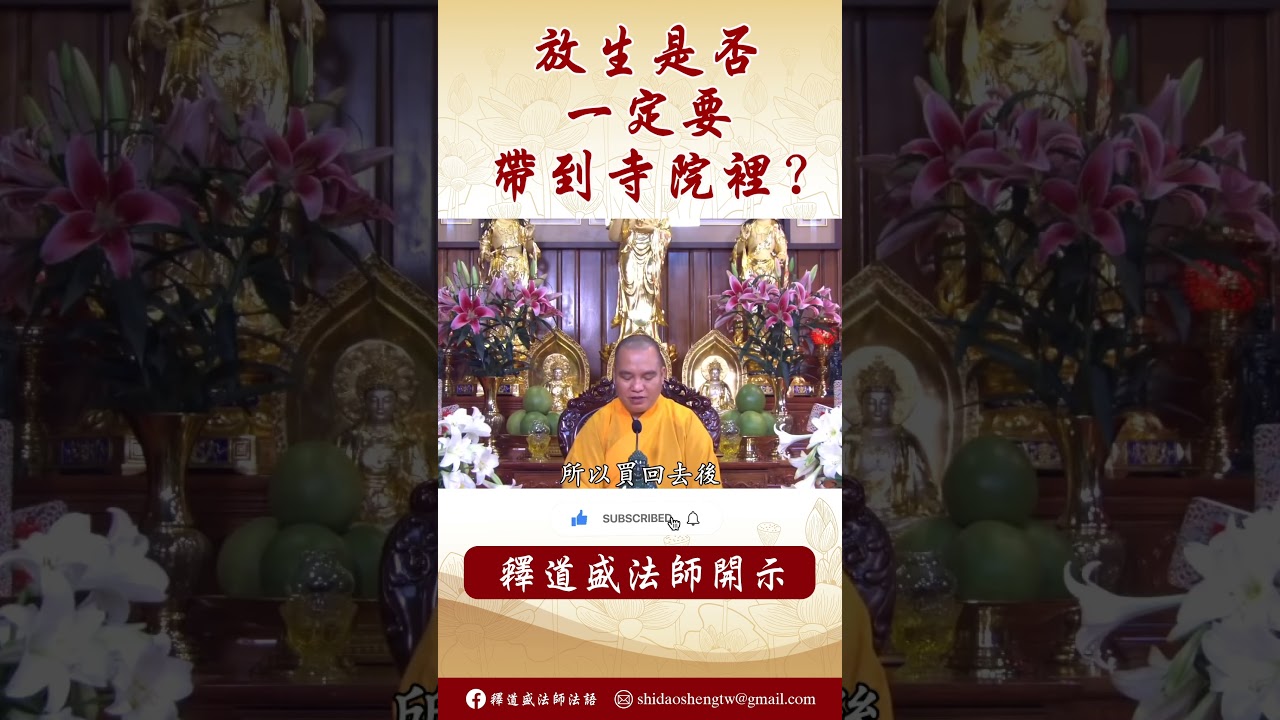 法師開示：放生是否一定要帶到寺院裡？  #念佛 #https #學佛  #學佛 #人生感悟 #人生感悟 #www  #阿彌陀佛 #正能量 #channel #阿彌陀佛 #正能量