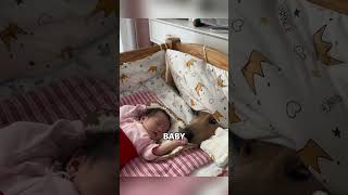 Dog&#39;s Tender Efforts to Sniff Sleeping Baby