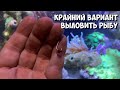 Выловил рыбу на крючок 🪝 | Морской аквариум