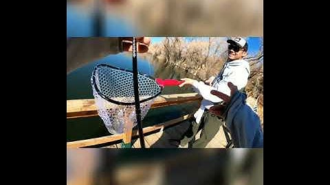 Ego S2 Slider Reach an incredibly useful net