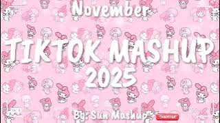 Tiktok Mashup November 💖2025💖 (Not Clean)