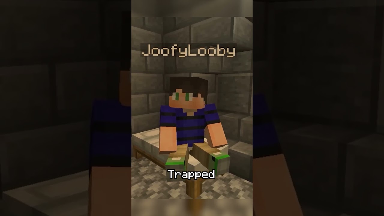 POV: Living in Grox's "democracy" #minecraftmemes #grox