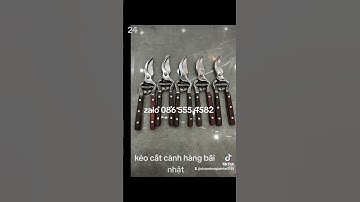 Kéo cắt cành hàng bãi nhật đẹp như mới