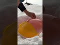 【世界一冷えた冷えピタ】#shorts 北海道 #冷えピタ #funny