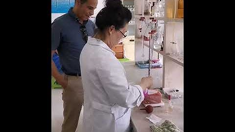 Testing caustic soda - perles et flocons de soude caustique