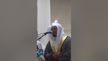 تلاوة فضيلة الشيخ أ.د [ياسر الدوسري] من سورة [النمل]  أكتب شيء تؤجر عليه....