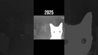 Popular cat memes (Then vs Now)π₯Ή#cat #shorts #legend #memes Popular cat memes (Then vs Now)π₯Ή#cat #shorts #legend #memes