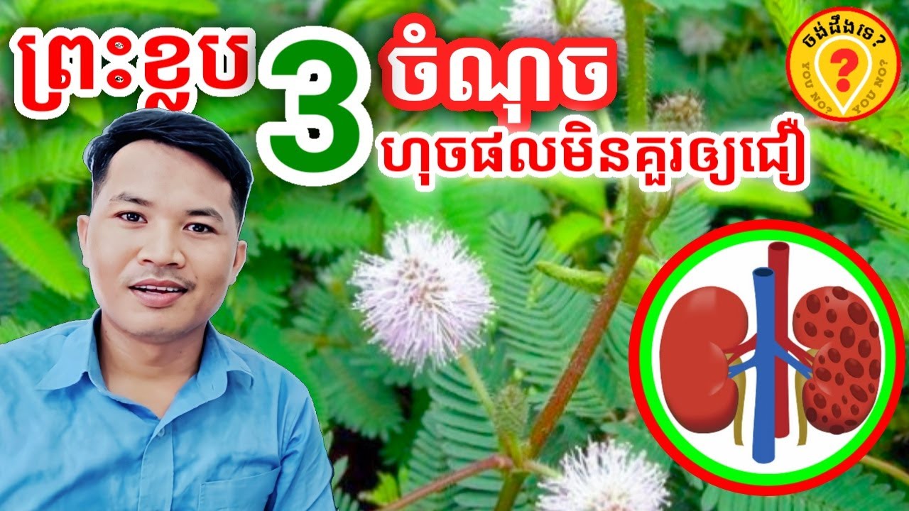 Advantages of sleepy Plant  អត្ថប្រយោជន៍របស់ដើមព្រះខ្លប ឬជើងក្រាប