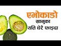        avocado health benefits in nepali  nepali health tips