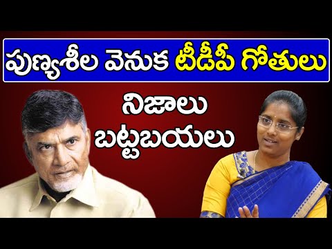 Bandi Punyaseela | Ys Jagan | TDP | Vijayawada | పుణ్యశీల వెనుక టీడీపీ గోతులు | PDTV News