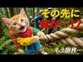 【涙】トラにゃん、憧れの北岳へ挑戦！仲間との絆が生んだ感動の登山物語😭⛰️✨💖