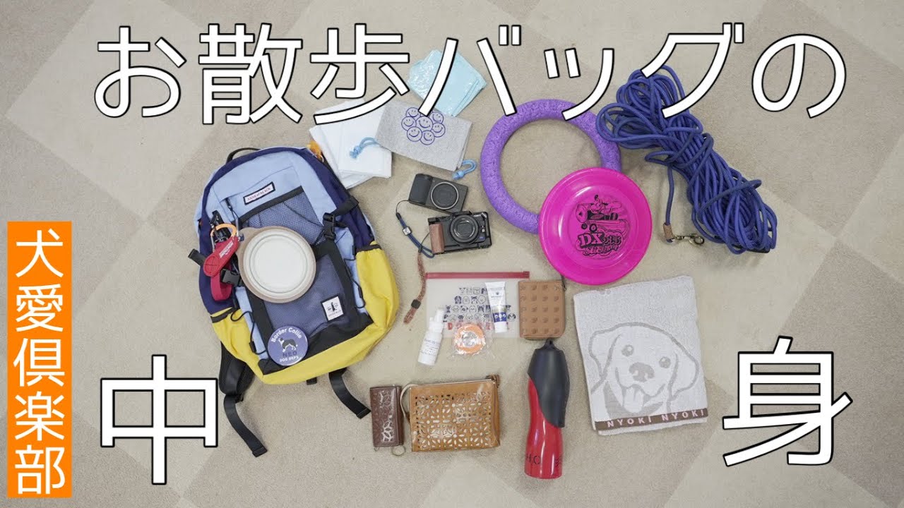 ドッグトレーナーのお散歩バッグの中身　こんなものを持ち歩いています！