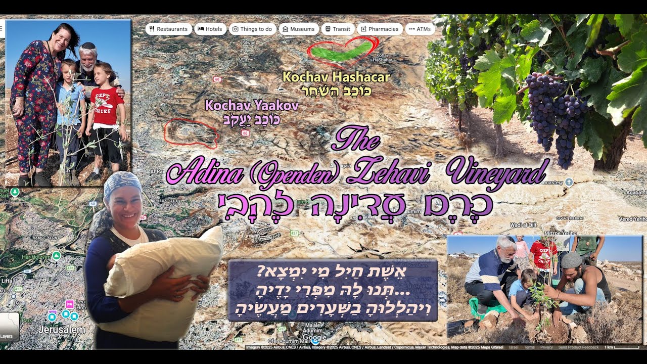 The Adina (Openden) Zehavi Vineyard  לְעִילּוּי נִשְׁמָתָה