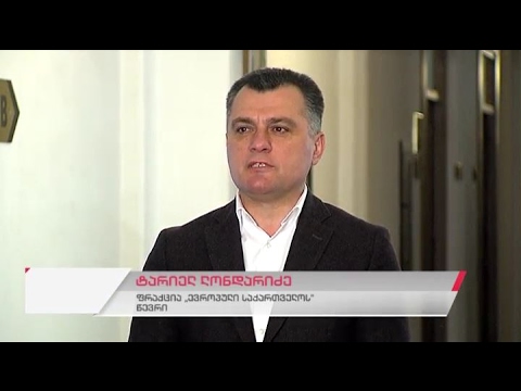 ფრაქცია \"ევროპული საქართველოს\" წევრის ტარიელ ლონდარიძის პრესკონფერენცია