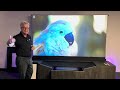 See the screen innovations st lift ust motorized projection screen on the epson ls800