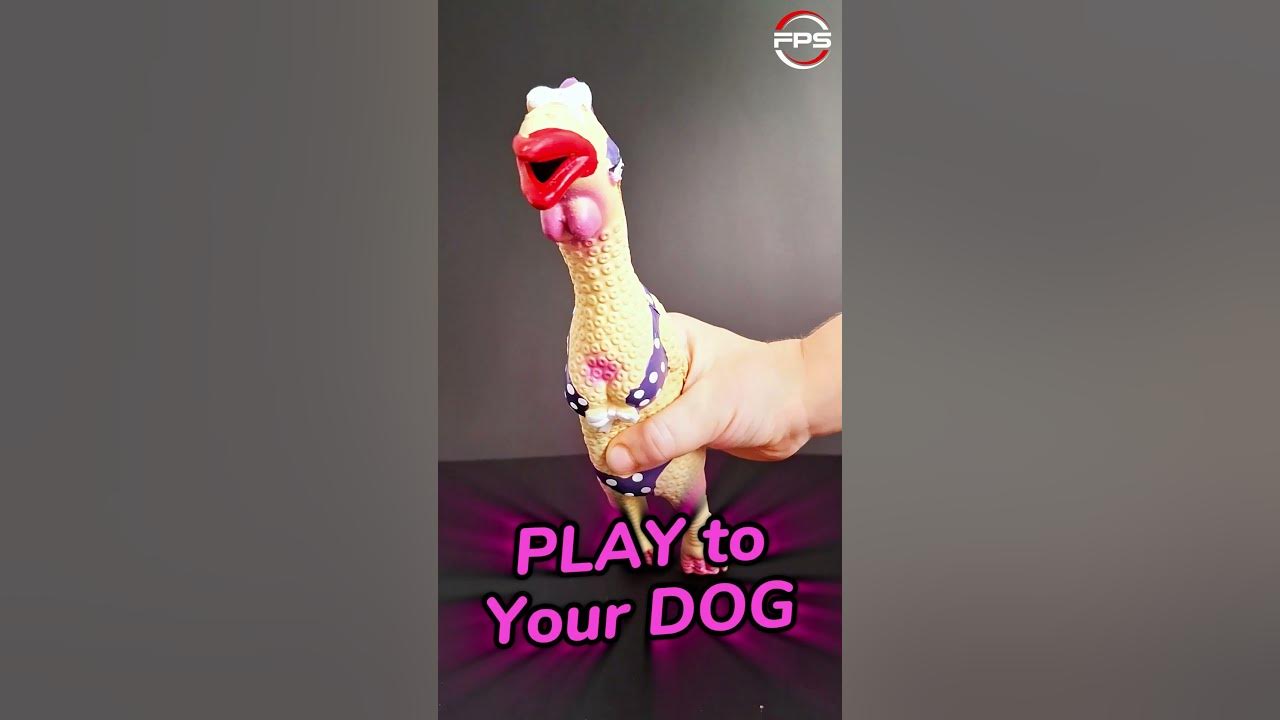 Squeaky toy sound for dogs #dogsound #viralvideo