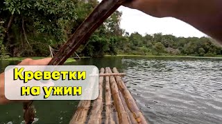 видео: Проверяю ловушки на креветок, плаваю на бамбуковом плоту. Филиппины 2023 картинка: Проверяю ловушки на креветок, плаваю на бамбуковом плоту. Филиппины 2023