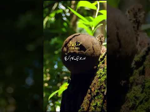 The Surah That Warned You About This World by Nazar Islamic Hubs