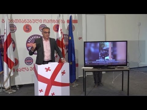 სამგორსა და ისნის მაჟირიტარულ ოლქებში გამოვლენილ დარღვევბსა და ზალადობაზე  ისაუბრეს ენმ-ს შტაბში