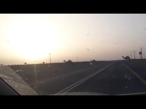 من حفر الباطن الى حائل