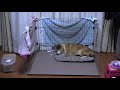 ［ご報告］手術無事終わりました