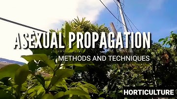 ASEXUAL PROPAGATION - METHODS AND TECHNIQUES (AFA MAJOR)