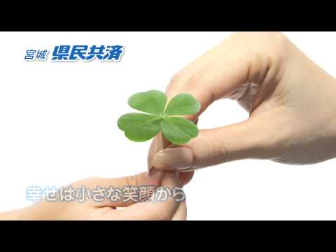 幸せのクローバー編 15秒（宮城県民共済テレビCM）