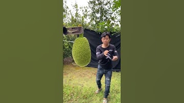 #shorts Tổng hợp các pha phi bài ảo diệu, xem là nghiện part 11 | chuẩn tín vlog