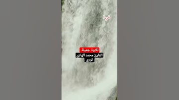 القارئ السنغالي ✨قل من كان في الضلالة #محمد الهادي توري