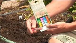 Preparing Your Garden : Methods for Testing Soil PH