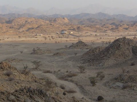 ⁣The Story of Al Baydha:  A Regenerative Agriculture in the Saudi Desert.  قصة مشروع البيضاء