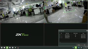Part2 ZKTeco IP camera IVA smart functions:Object detection+Intrusion