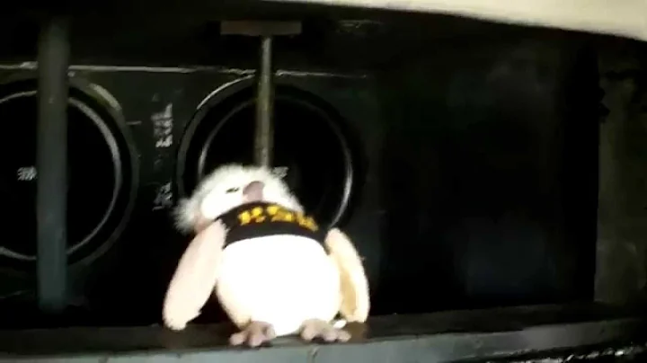 4 Sundown X 15s MOVE TONS OF AIR!