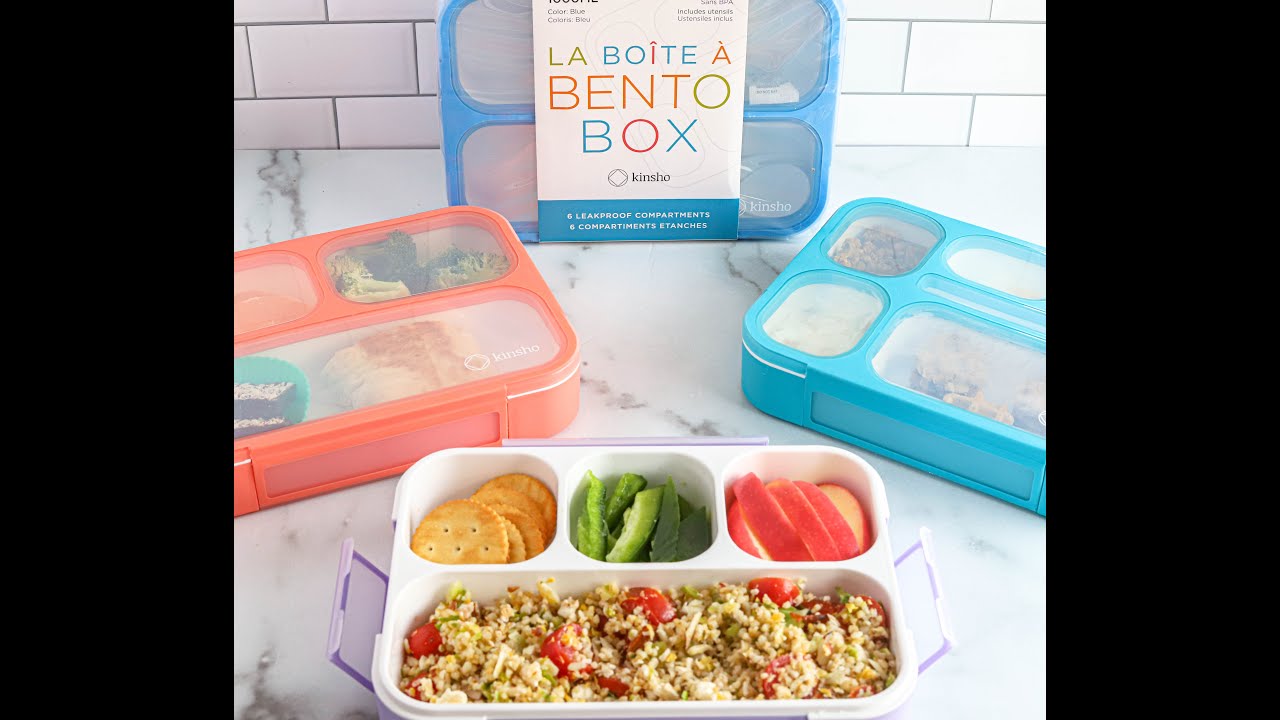 Connecting Bento Box Food Storage Containers | OmieBox OmieGo | Snack  Container, Meal Prep, Leak Proof Airtight Food Storage, Adult Lunch Box -  Coral