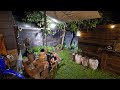私の夏小屋-2025-北海道より