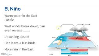 4.8 El Nino and La Nina