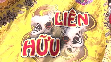 MUNG LE HOI TET NGUYEN TIEU - XUAN DINH DAU 2017