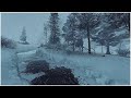 Heavy snowstorm in the foreststrong howling wind  loud blowing snowsounds for sleep  relaxation