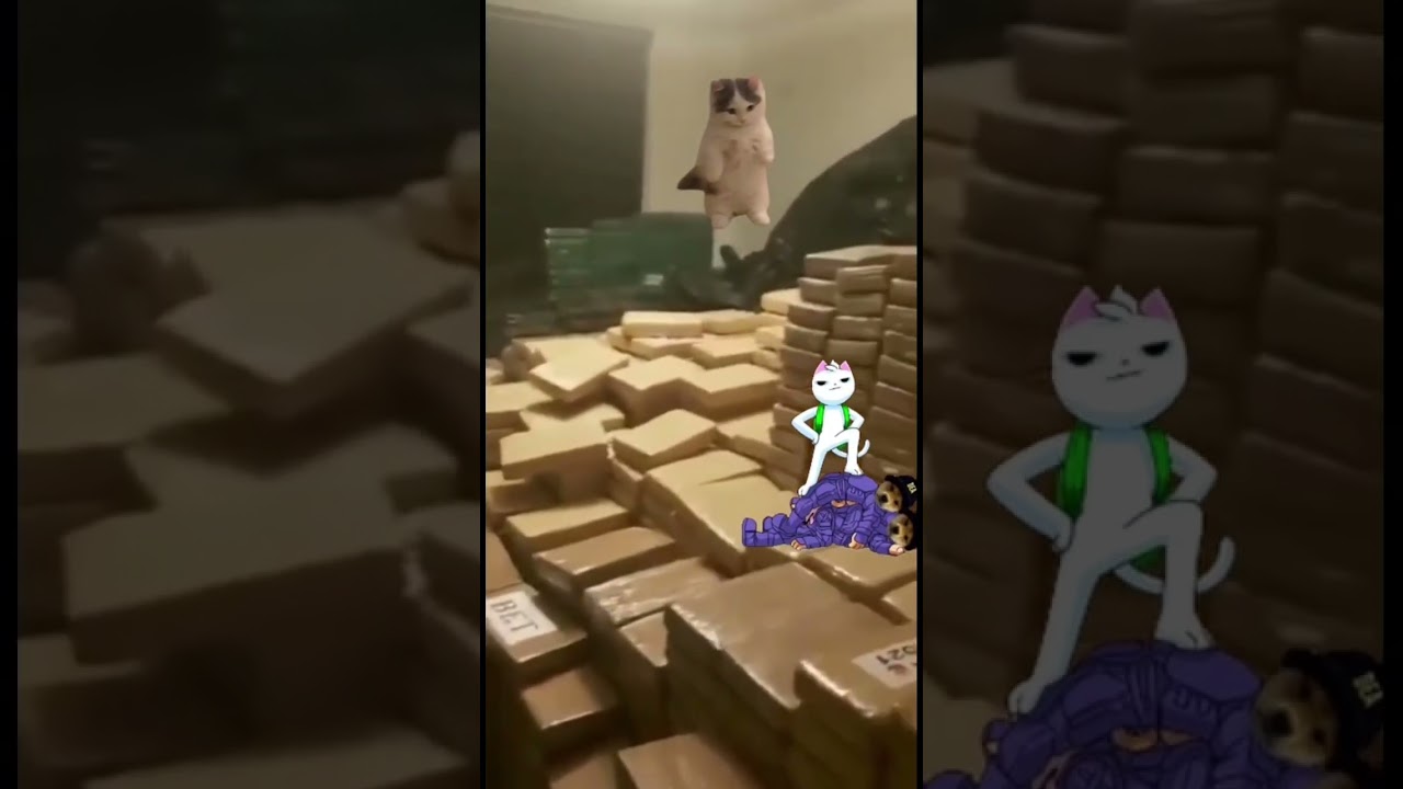 Dog enforcement agency busying the CATel 