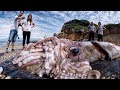 10 Biggest Creatures Ever Captured