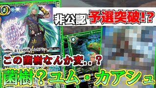 菌樹 ユム・カアシュ｜bakasa