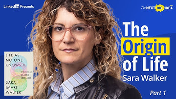 WHAT IS LIFE? (Part 1): A Mind-Bending Conversation with Sara Walker